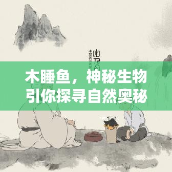 木睡魚，神秘生物引你探尋自然奧秘